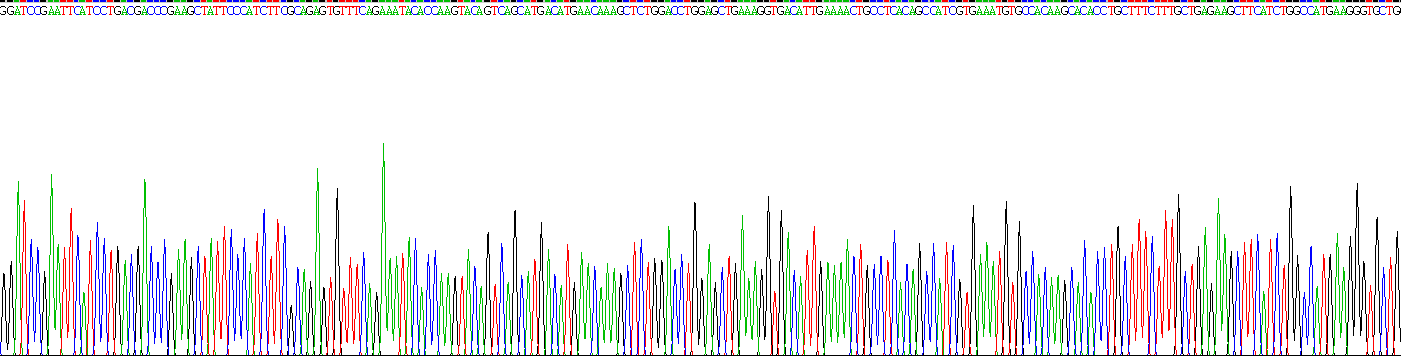 膜聯蛋白A1(ANXA1)重組蛋白