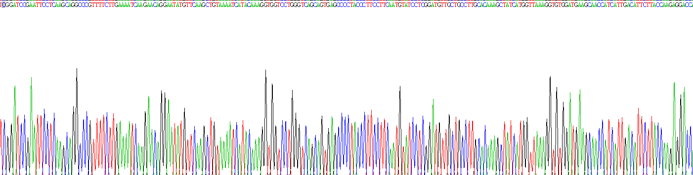膜联蛋白A1(ANXA1)重组蛋白