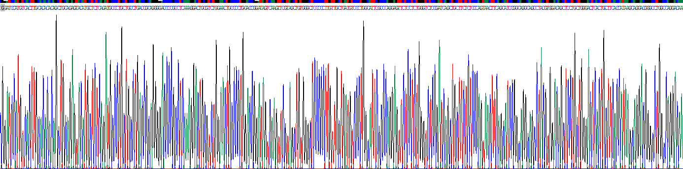 泛連接蛋白3(PANX3)重組蛋白
