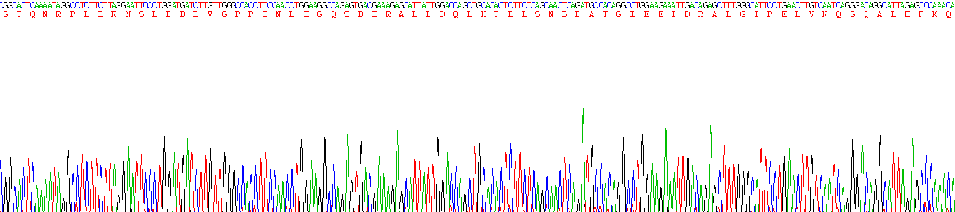核受体共激活因子3(NCOA3)重组蛋白