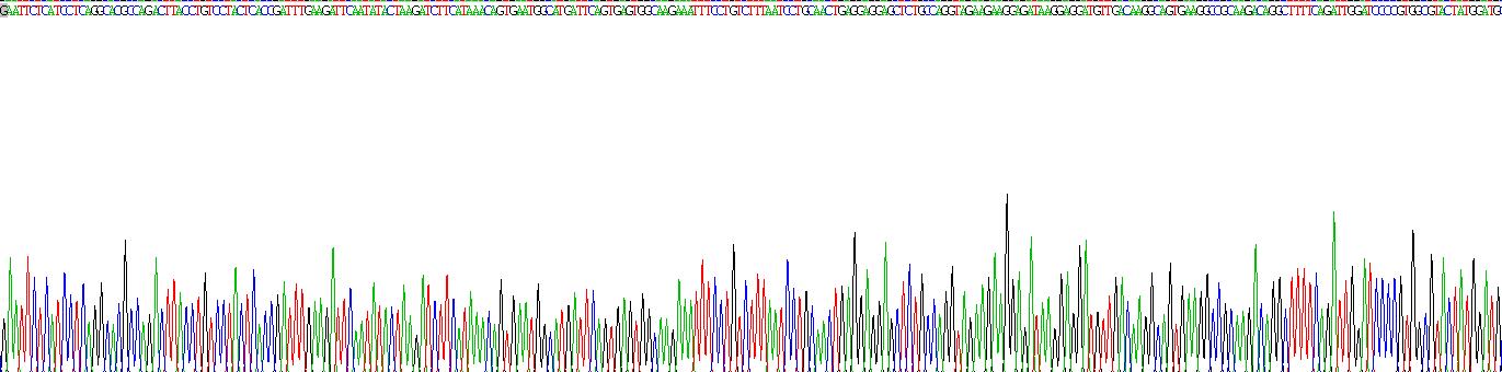 醛脫氫酶1家族成員A1(ALDH1A1)重組蛋白