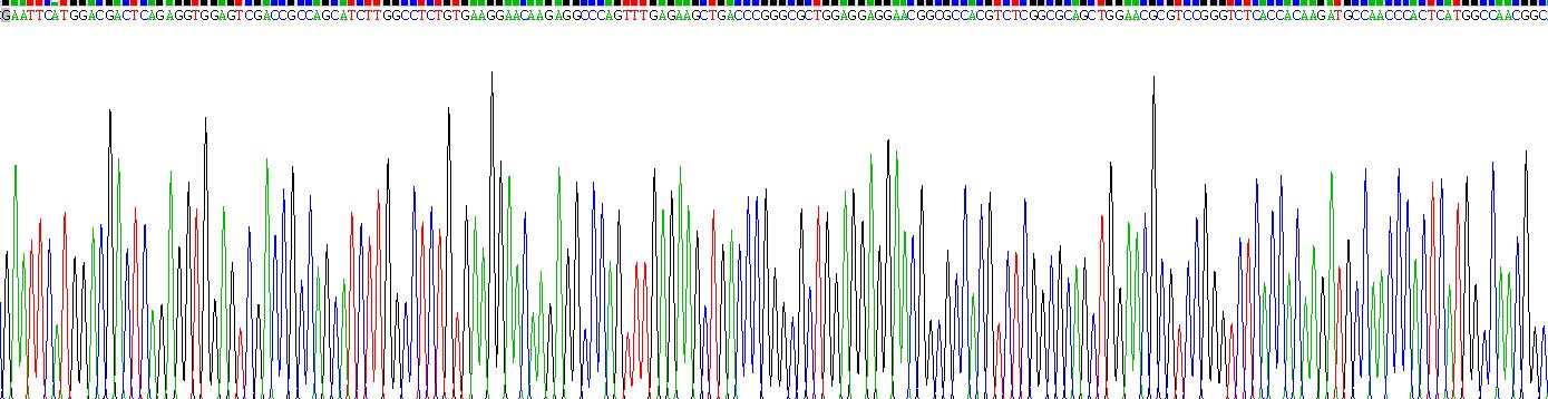 連環(huán)蛋白δ1(CTNNd1)重組蛋白