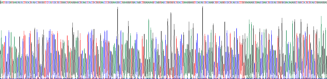 沉默調(diào)節(jié)蛋白1(SIRT1)重組蛋白
