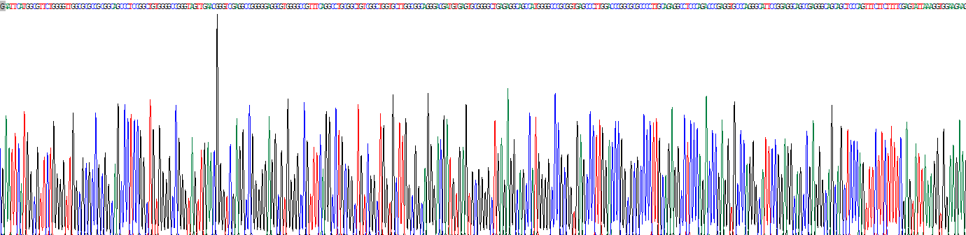 沉默调节蛋白3(SIRT3)重组蛋白