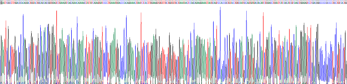 環(huán)指蛋白43(RNF43)重組蛋白