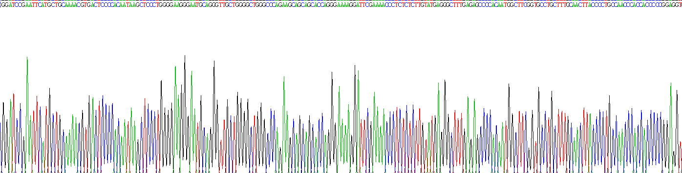 含溴区蛋白2(BRD2)重组蛋白