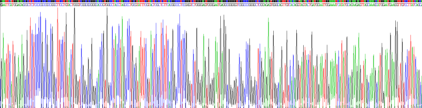17-β-羟基类固醇脱氢酶12(HSD17b12)重组蛋白