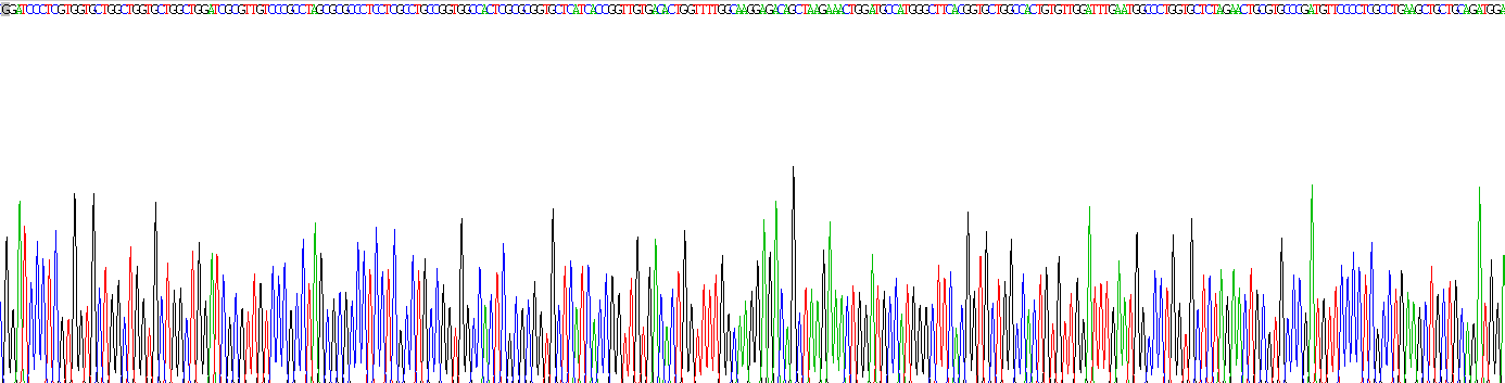 11-β-羟基类固醇脱氢酶2(HSD11b2)重组蛋白
