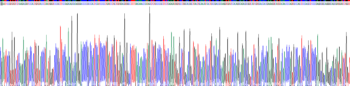 岩藻糖基转移酶6(FUT6)重组蛋白