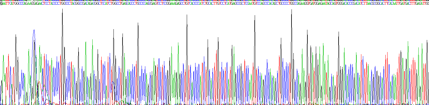 Aurora激酶B(AURKB)重组蛋白