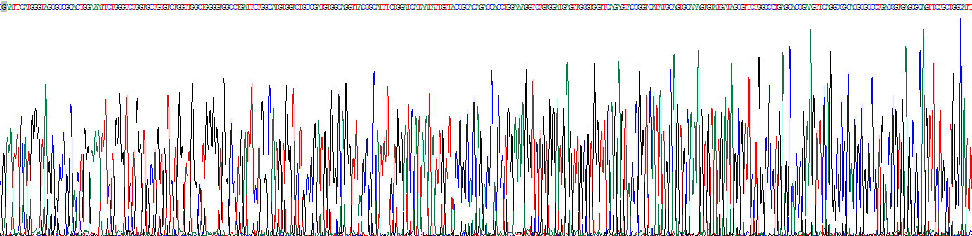 封闭蛋白5(CLDN5)重组蛋白