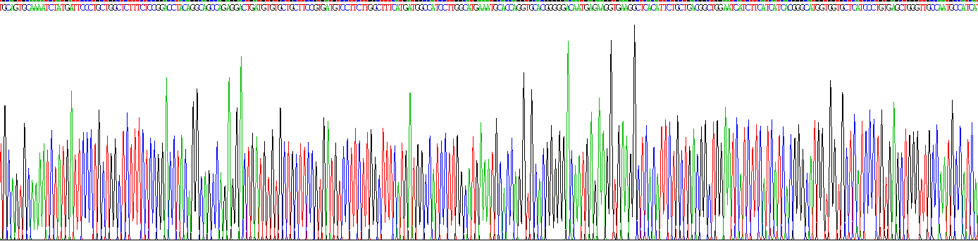 封闭蛋白8(CLDN8)重组蛋白