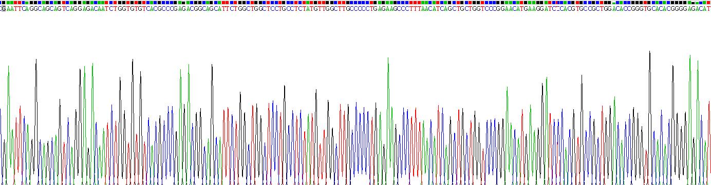 細(xì)胞因子受體樣因子1(CRLF1)重組蛋白