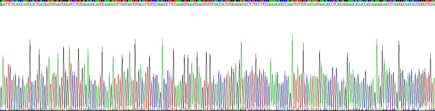 衰老關(guān)鍵蛋白3(FBLN3)重組蛋白