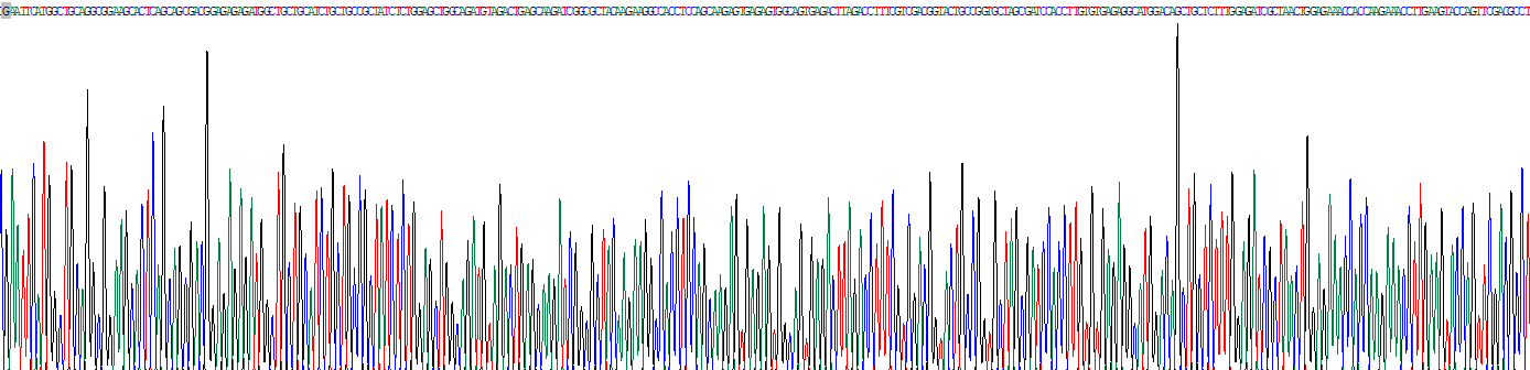 驅(qū)動蛋白家族成員22(KIF22)重組蛋白