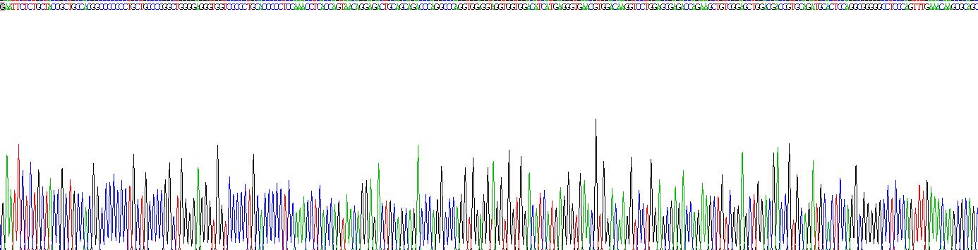 囊泡关联膜蛋白2(VAMP2)重组蛋白