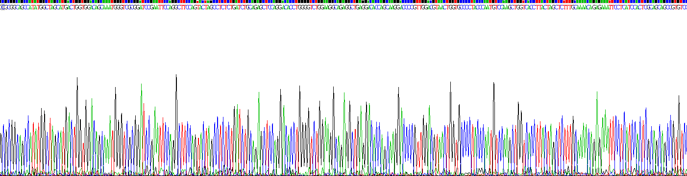 多聚蛋白2(MMRN2)重組蛋白