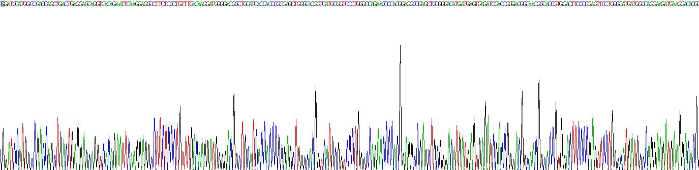 钙调蛋白样蛋白3(CALML3)重组蛋白