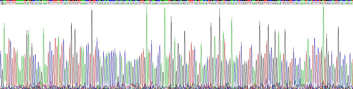 含硬化蛋白域蛋白1(SOSTDC1)重组蛋白