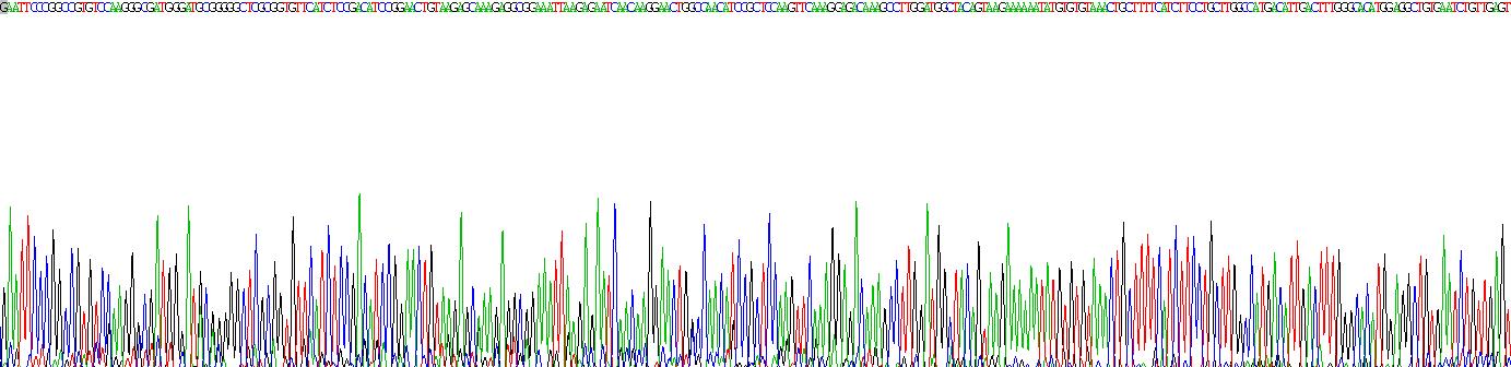衔接因子相关蛋白复合体2α1(AP2a1)重组蛋白