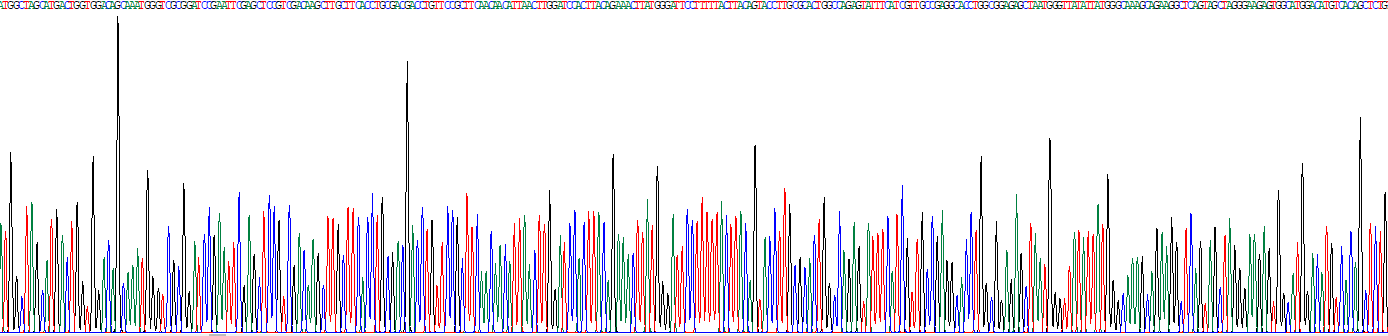 N-乙酰轉(zhuǎn)移酶5(NAT5)重組蛋白