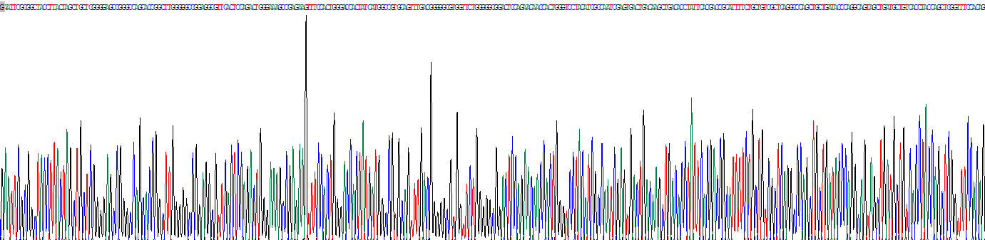 蛋白酶体亚基β6(PSMb6)重组蛋白