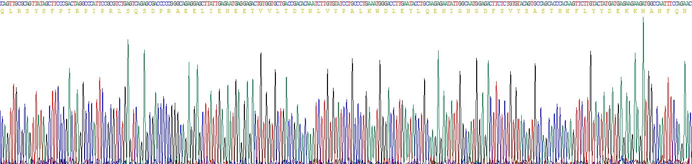 低氧诱导因子1α亚基抑制因子(HIF1aN)重组蛋白