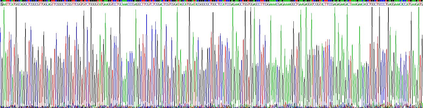 ATP酶抑制因子1(ATPIF1)重组蛋白