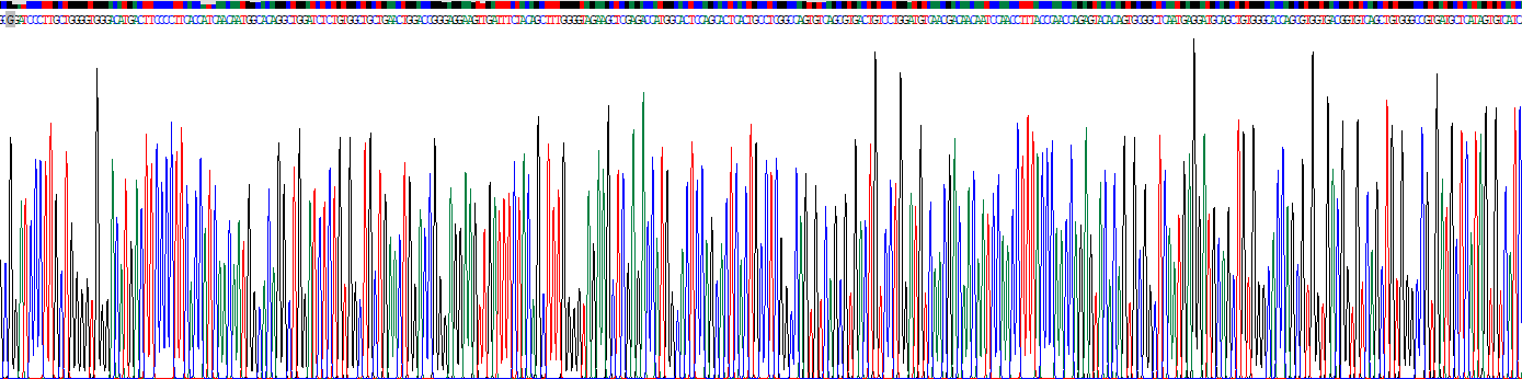 钙粘蛋白EGF LAG七经G-型受体2(CELSR2)重组蛋白