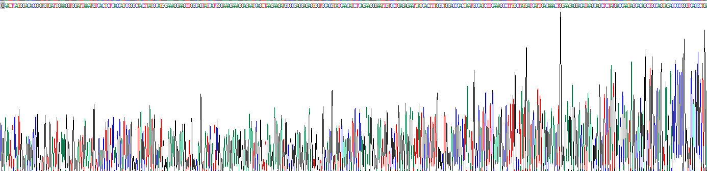 Poly/rC结合因子2(PCBP2)重组蛋白