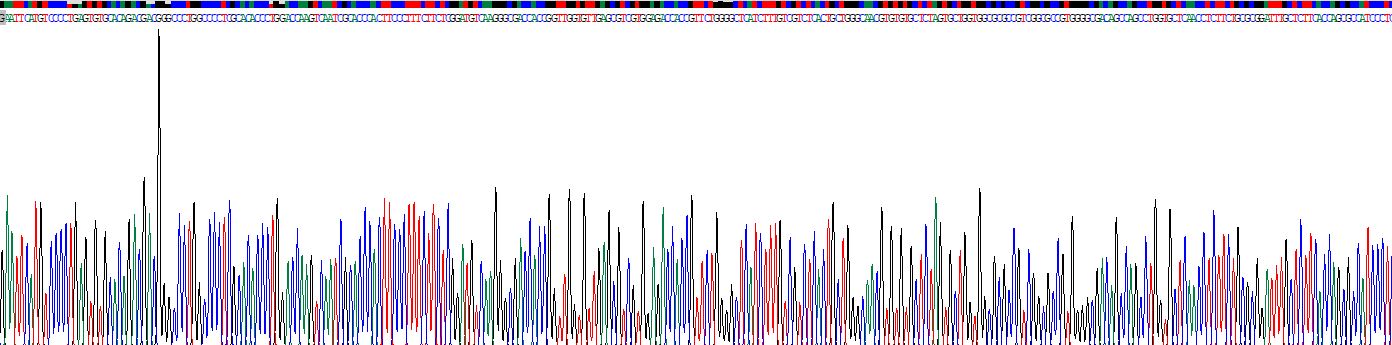 游離脂肪酸受體4(FFAR4)重組蛋白