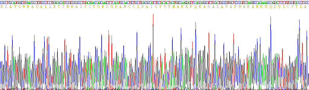 G蛋白偶联受体35(GPR35)重组蛋白