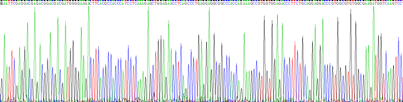 肝细胞核因子1α(HNF1a)重组蛋白