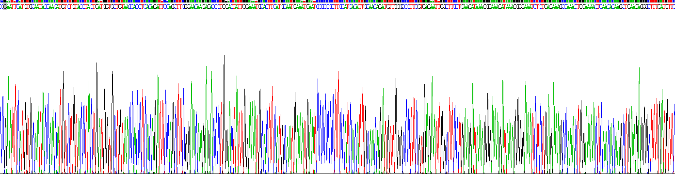 Mdm2 p53結(jié)合蛋白同源物(MDM2)重組蛋白