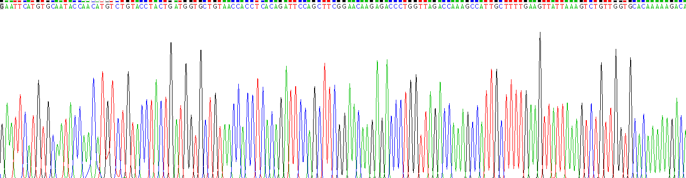 Mdm2 p53結(jié)合蛋白同源物(MDM2)重組蛋白