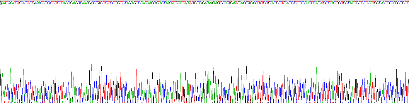 白介素18结合蛋白(IL18BP)重组蛋白