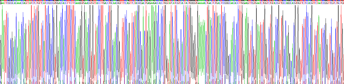 Fc受体样蛋白4(FCRL4)重组蛋白