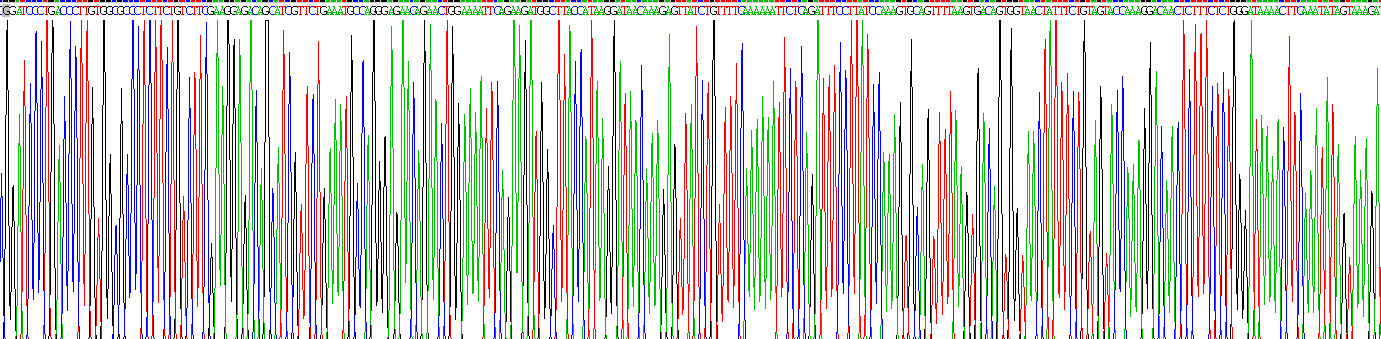 Fc受体样蛋白2(FCRL2)重组蛋白