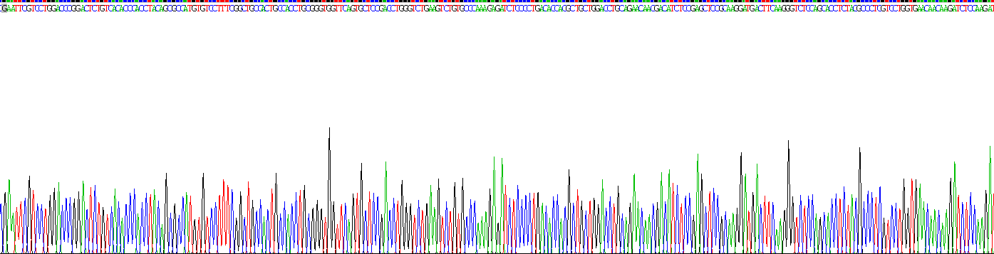 雙糖鏈蛋白聚糖(BGN)重組蛋白