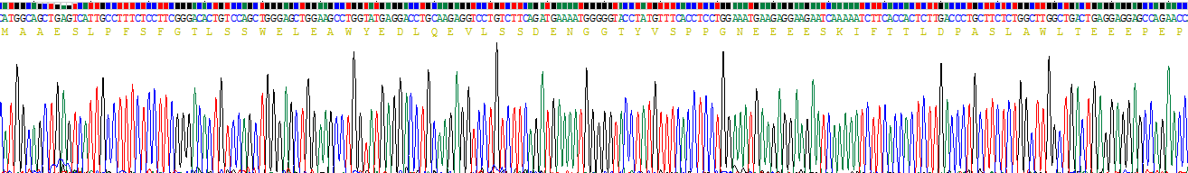 DNA损伤诱导转录因子3(DDIT3)重组蛋白