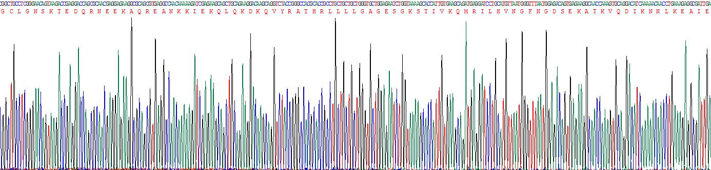 G蛋白α刺激活性多肽1(GNaS1)重组蛋白