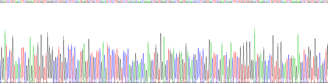 含NLR家族Pyrin域蛋白3(NLRP3)重组蛋白