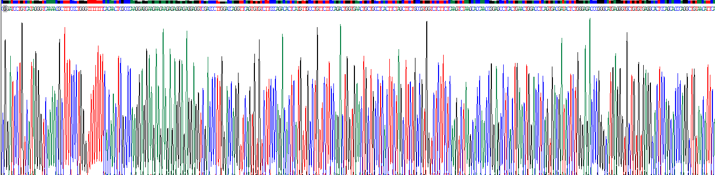 含NLR家族Pyrin域蛋白3(NLRP3)重组蛋白