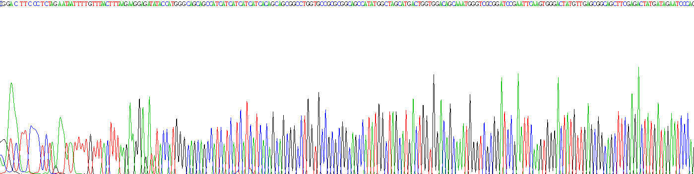 亮氨酸丰富重复LGI家族成员3(LGI3)重组蛋白