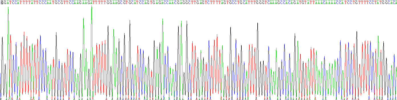 正五聚蛋白3(PTX3)重組蛋白