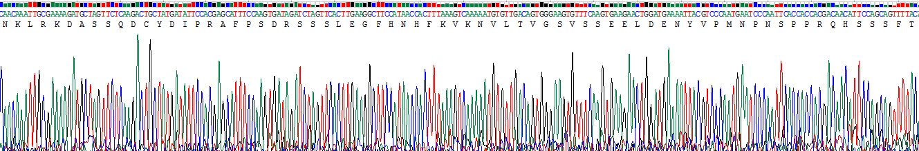 GRB2关联结合蛋白1(GAB1)重组蛋白