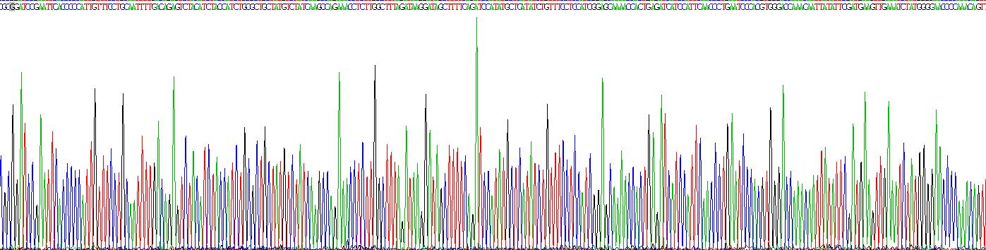 Myoferlin蛋白(MYOF)重組蛋白