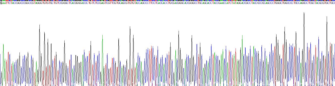 EGF样域蛋白7(EGFL7)重组蛋白