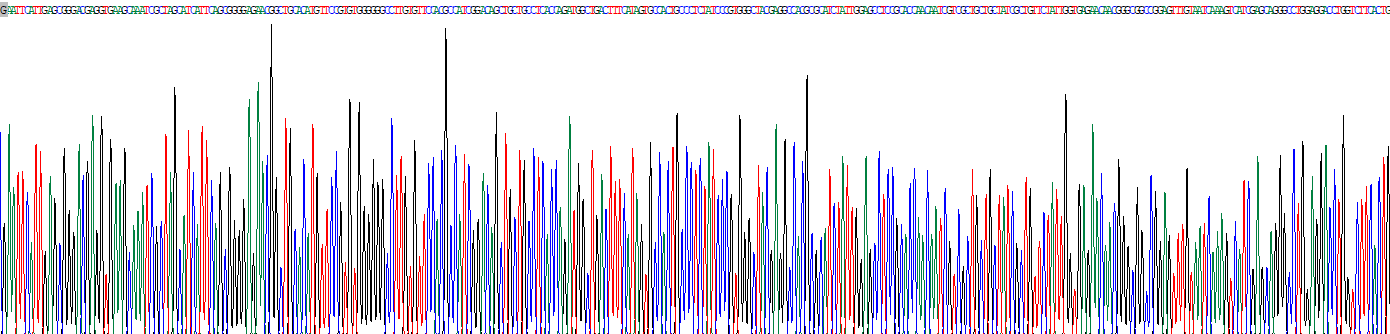 髓/淋巴混合譜系白血病蛋白2(MLL2)重組蛋白