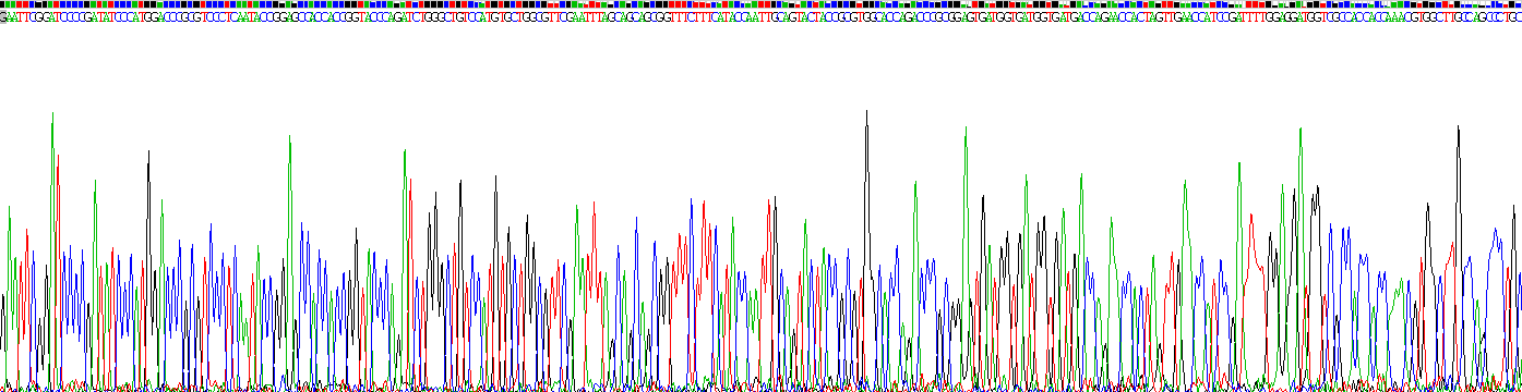 類(lèi)固醇5α還原酶2(SRD5a2)重組蛋白